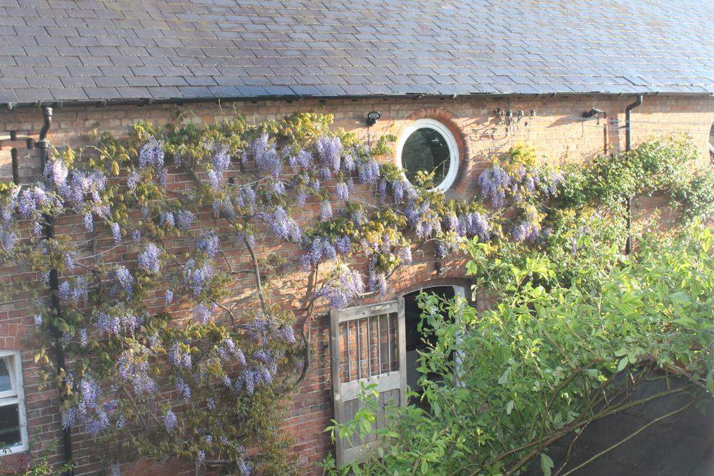 The Jockey Room Hideaway Spurstow Exterior foto